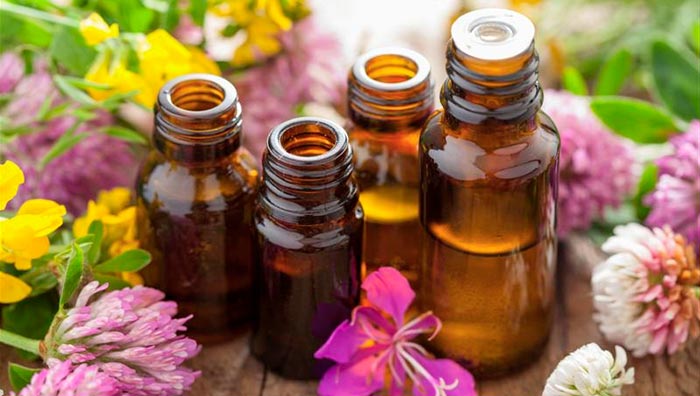 Flores de Bach: medicina alternativa