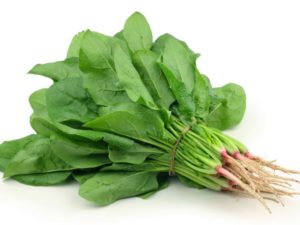 3 sabrosas recetas con espinacas 3 sabrosas recetas con espinacas
