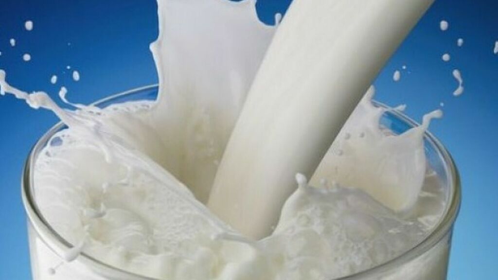 Beneficios de la leche de soja para el organismo