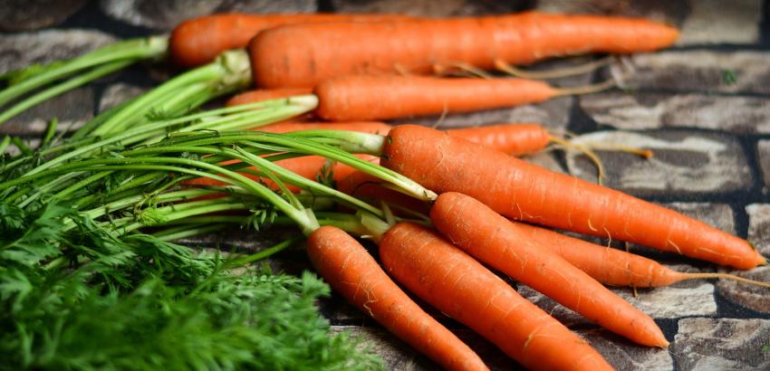 3 deliciosas recetas con zanahorias