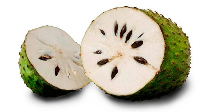 Beneficios de tomar guanábana, fruta tropical deliciosa