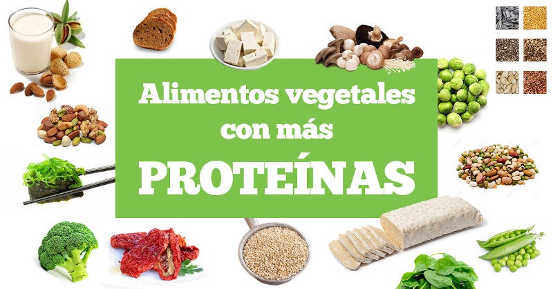5 alimentos ricos en proteína vegetal